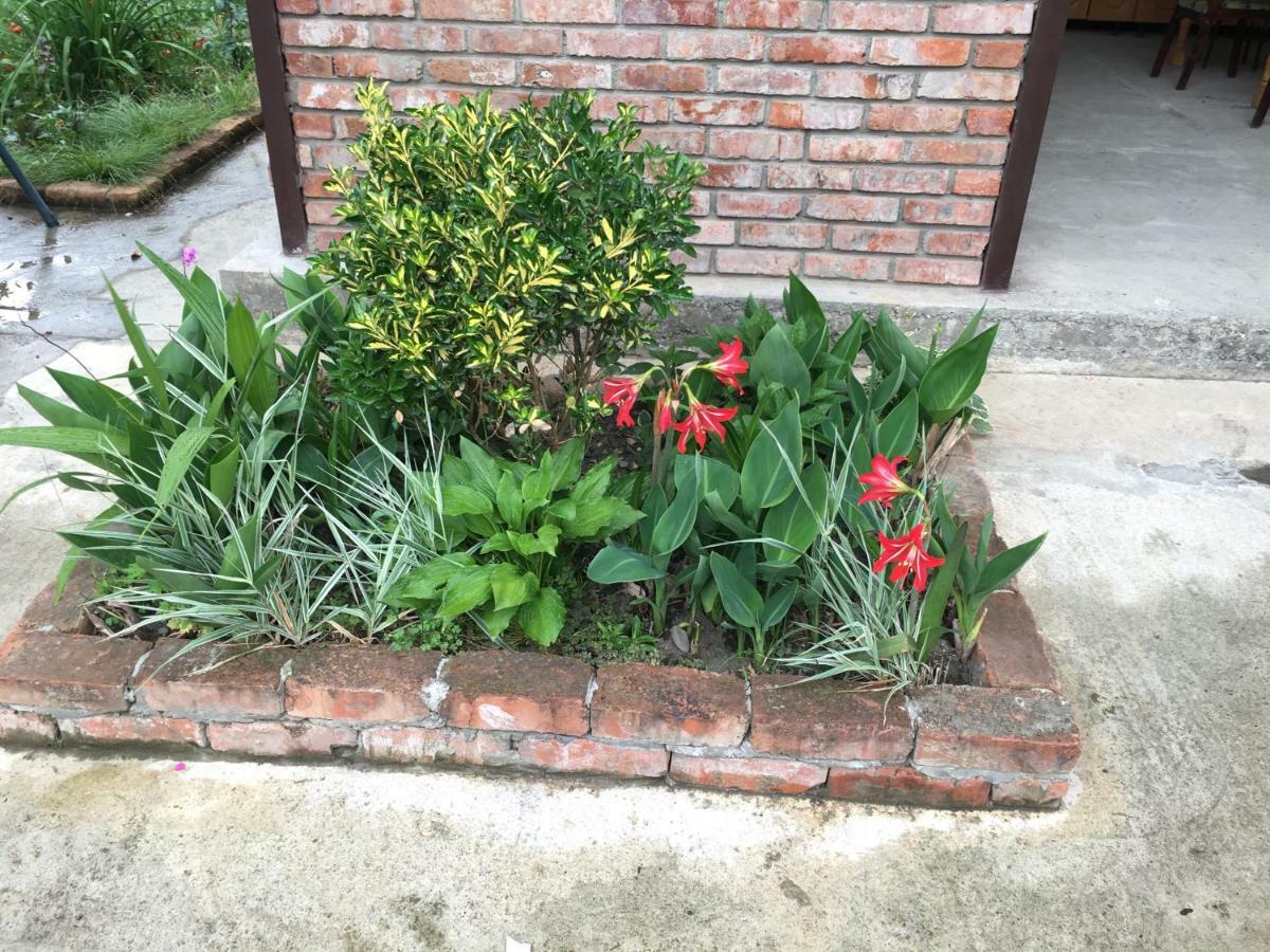 Guest House Nadia 수쿰 외부 사진